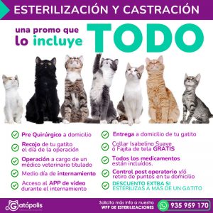 promo_esterilizaciones