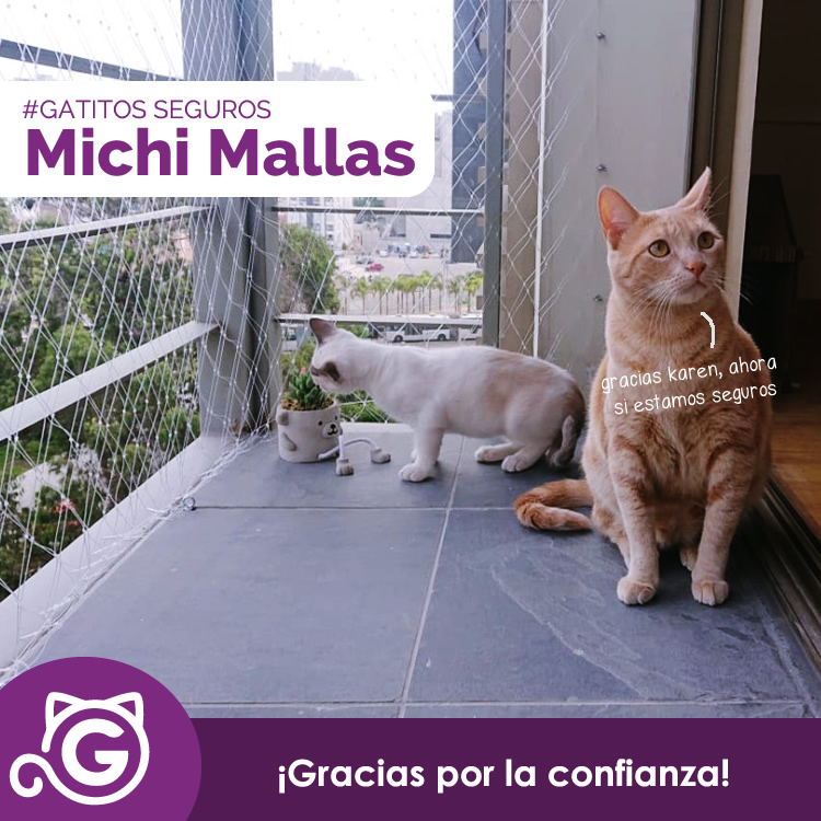 solitario Producto audible Mallas Para Gatos - Gatópolis