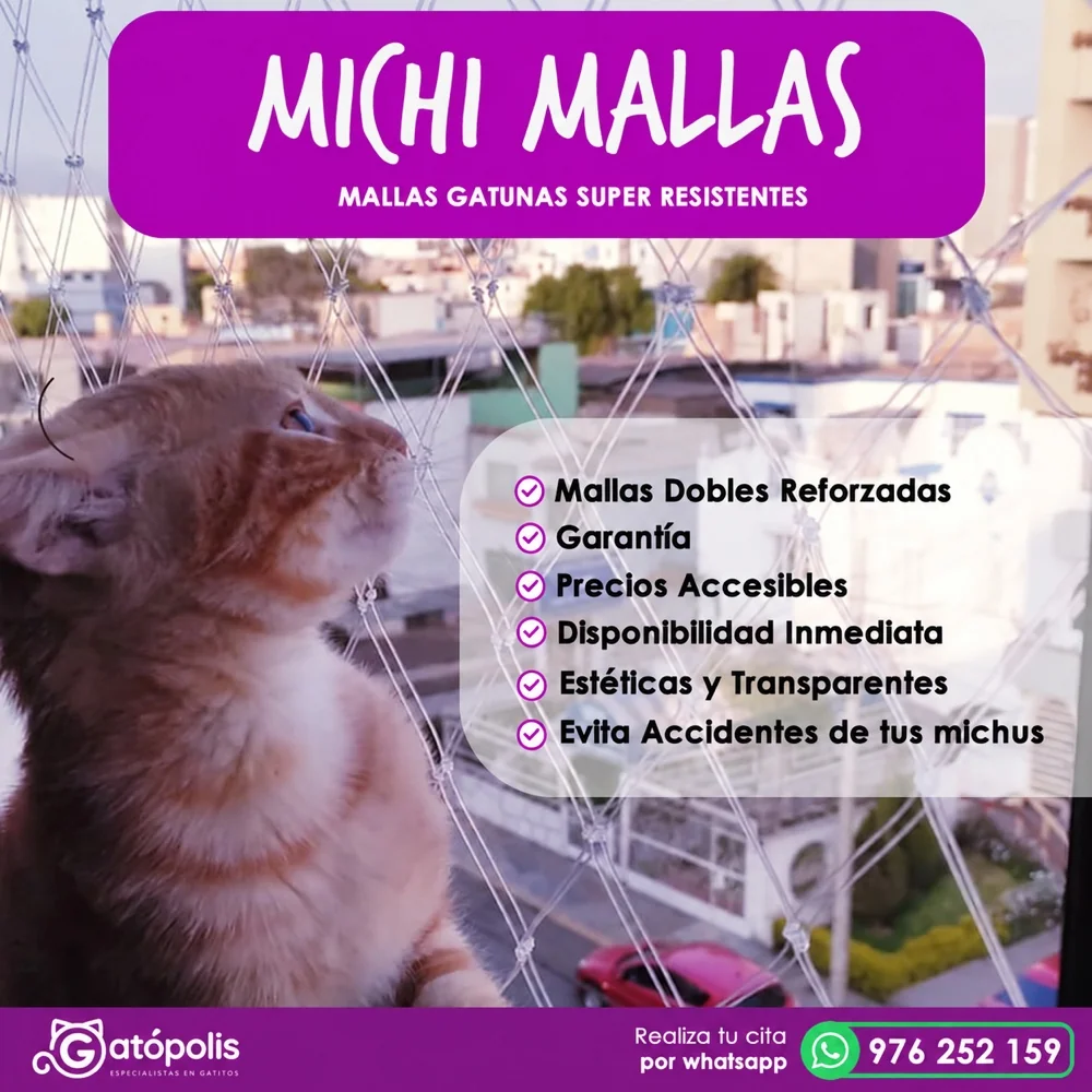 Michi-Mallas: protección para tu hogar