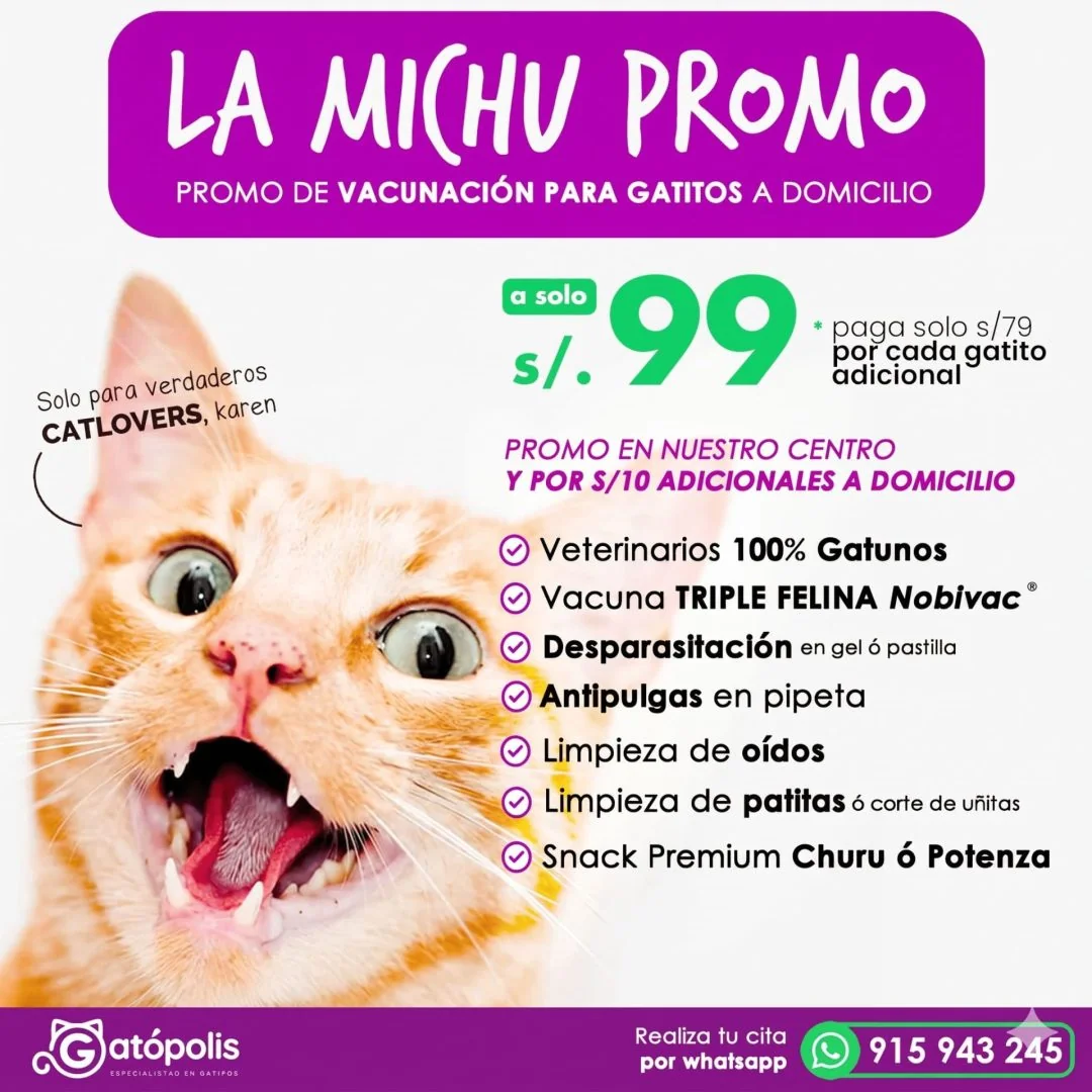 Michu-Promo de Gatópolis